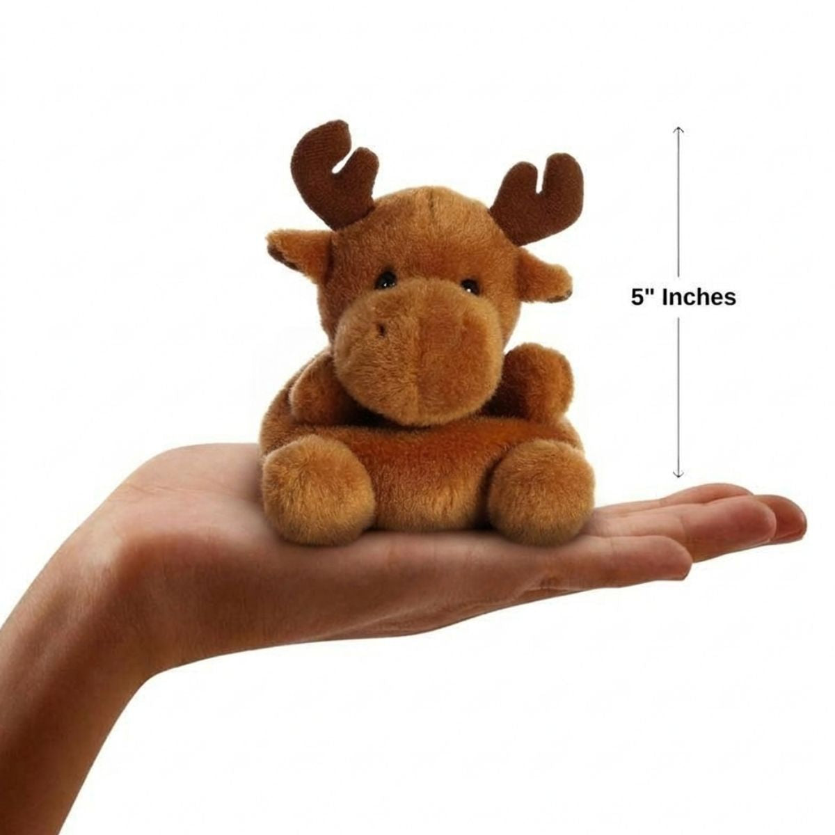 The miniature Cinnamon Moose plush sitting balanced in an open human hand under a 5-inch height graphic indicator.