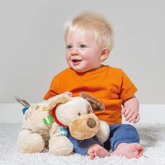 Mary Meyer Taggies 12" Inch Stuffed Animal Activity Toy, Buddy Dog