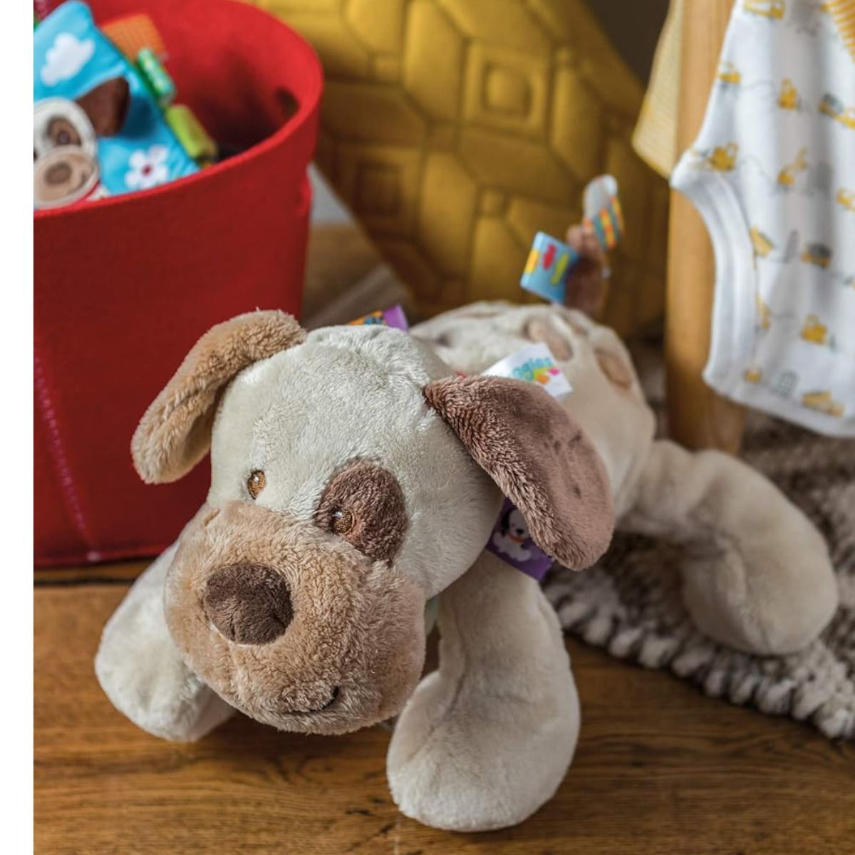 Mary Meyer Taggies 12" Inch Stuffed Animal Activity Toy, Buddy Dog