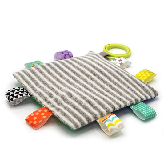 Mary Meyer Taggies 6" X 6" Inch Crinkle Me Activity Toy, Raccoon Lovey