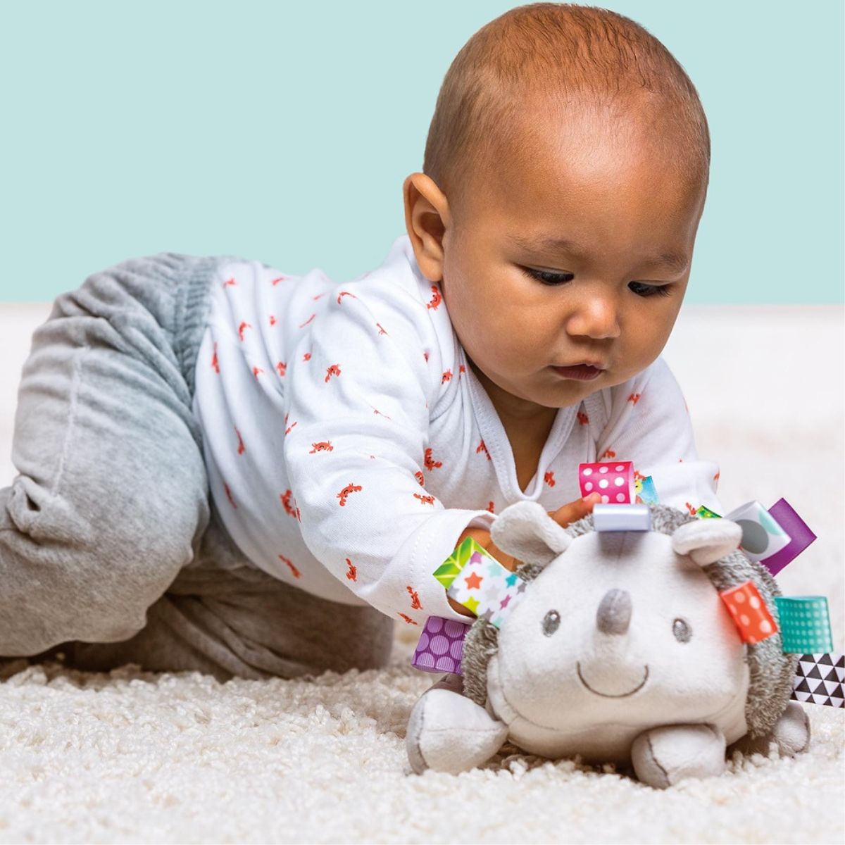 Mary Meyer Taggies 12" Inch Stuffed Animal Activity Toy, Heather Hedgehog