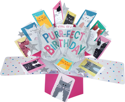 Second Nature Mailable Happy Birthday Purr-Feat Cats Pop Up Greeting Card - POP133