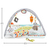 Fisher-Price Baby Playmat Perfect Sense Deluxe Gym